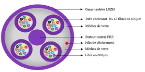 CÂBLE 48 FO MULTIMODE INT/EXT 500M 50/125 OM3 DCAA Structure serree 900um noire LSZH, anti rongeurs – vue 4