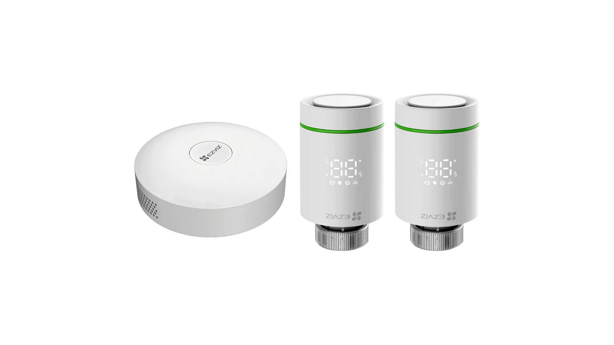 Équipement d'alarme kit thermostat connecté pack T55x2 + A3