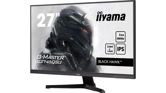Écran informatique HDMI / dp / 2xUSB hub / 2560x1440 / 1ms