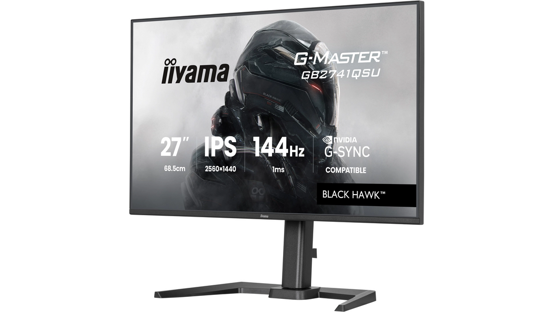Écran informatique HDMI / dp / USB-HUBx2 / 1ms, Pied reglable