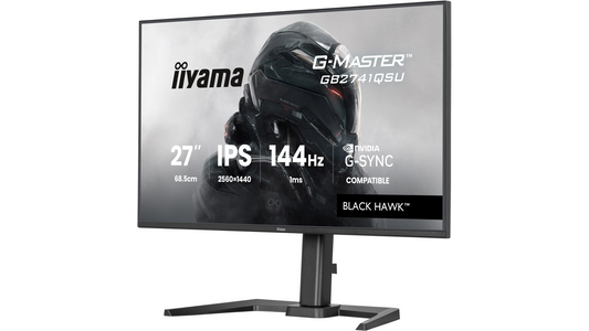 Écran informatique HDMI / dp / USB-HUBx2 / 1ms, Pied reglable