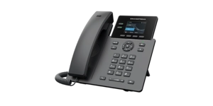 Téléphone IP 2 ports 10/100 Mbps / Écran lcd 2,4' / 2 Lignes – vue 2