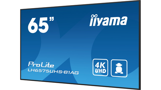 Écran d'affichage dynamique 65'4K uhd 3840X2160 dalle ips
