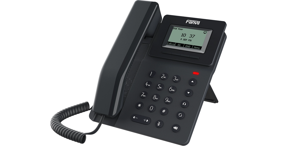 Téléphone IP 2 comptes SIP 2x10/100